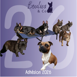 Adhésion 2026