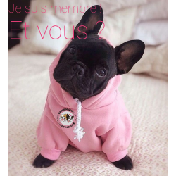 Adhésion 2023