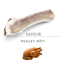 Bois de cerf aromatisé - saveur poulet rôti - taille XL