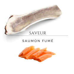 Bois de cerf aromatisé - saveur saumon fumé - taille XL