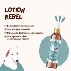 Dexter & Mango Lotion démêlante Rebel